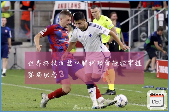 世界杯投注盘口解析助你轻松掌握赛场动态