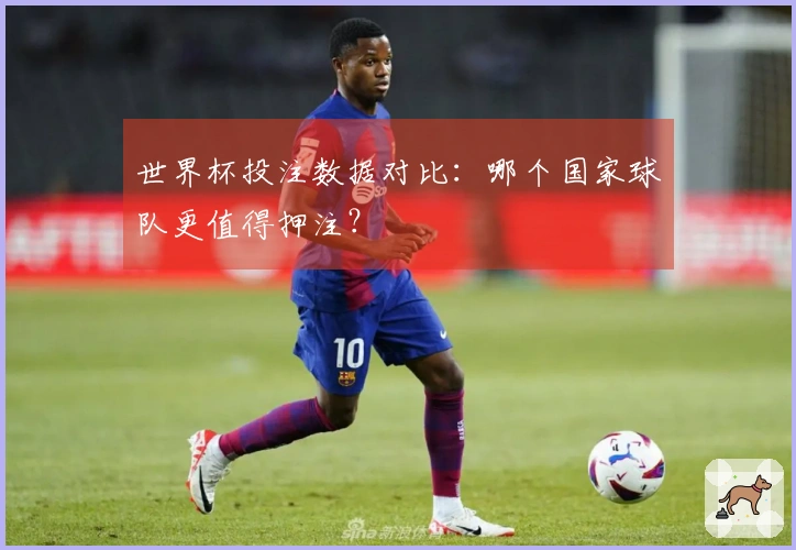 世界杯投注数据对比:哪个国家球队更值得押注?