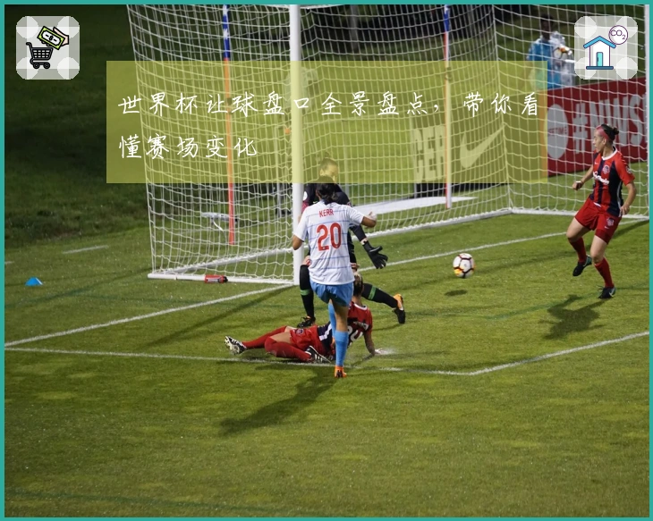 世界杯让球盘口全景盘点，带你看懂赛场变化