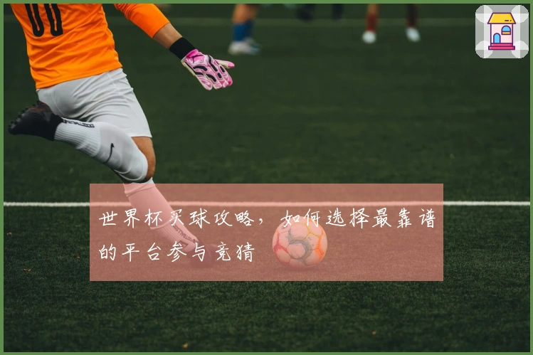 世界杯买球攻略，如何选择最靠谱的平台参与竞猜