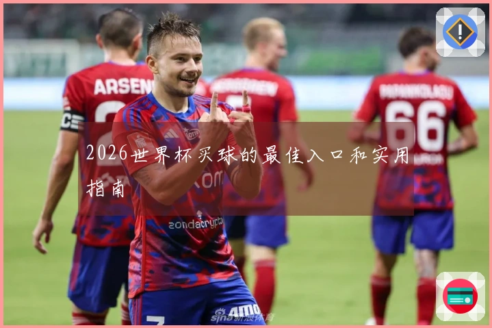 2026世界杯买球的最佳入口和实用指南