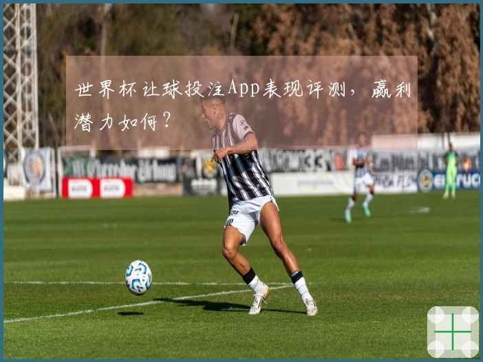 世界杯让球投注App表现评测,赢利潜力如何?