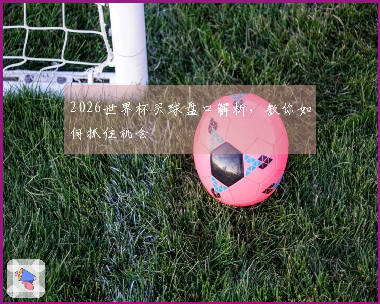 2026世界杯买球盘口解析，教你如何抓住机会