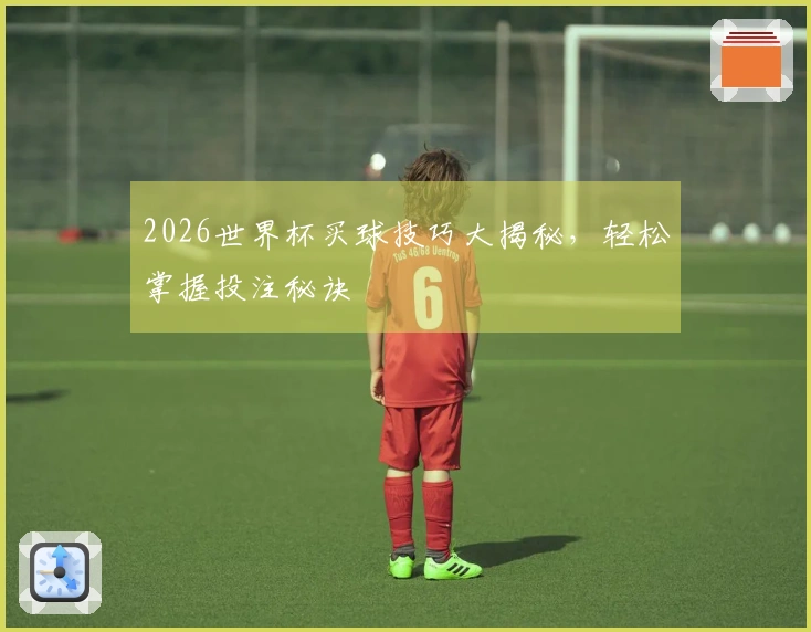 2026世界杯买球技巧大揭秘，轻松掌握投注秘诀