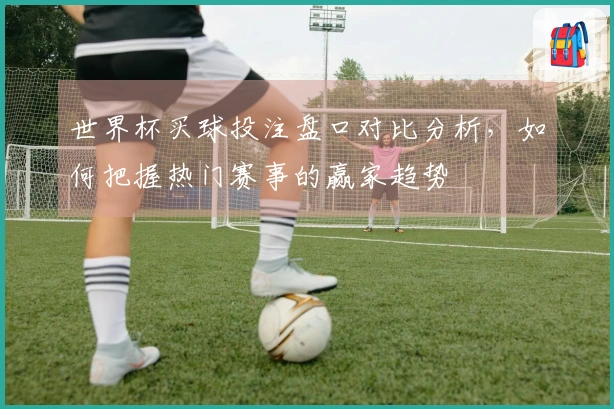 世界杯买球投注盘口对比分析，如何把握热门赛事的赢家趋势