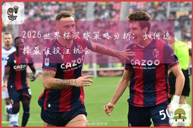 2026世界杯买球策略分析：如何选择最佳投注机会
