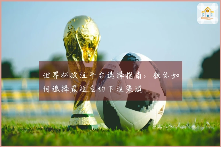 世界杯投注平台选择指南，教你如何选择最适合的下注渠道