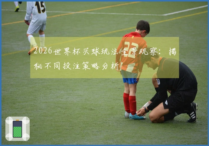 2026世界杯买球玩法全景观察：揭秘不同投注策略分析