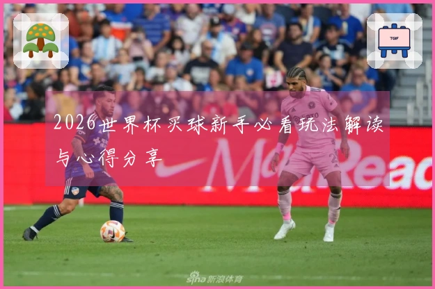 2026世界杯买球新手必看玩法解读与心得分享
