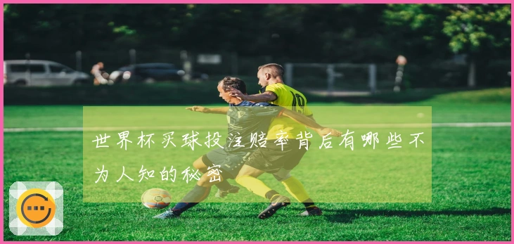 世界杯买球投注赔率背后有哪些不为人知的秘密