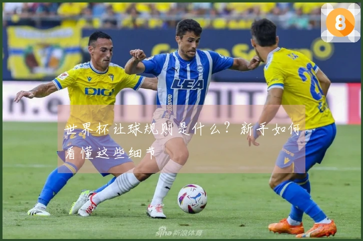 世界杯让球规则是什么?新手如何看懂这些细节