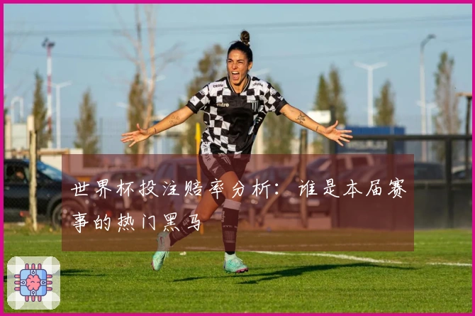 世界杯投注赔率分析：谁是本届赛事的热门黑马