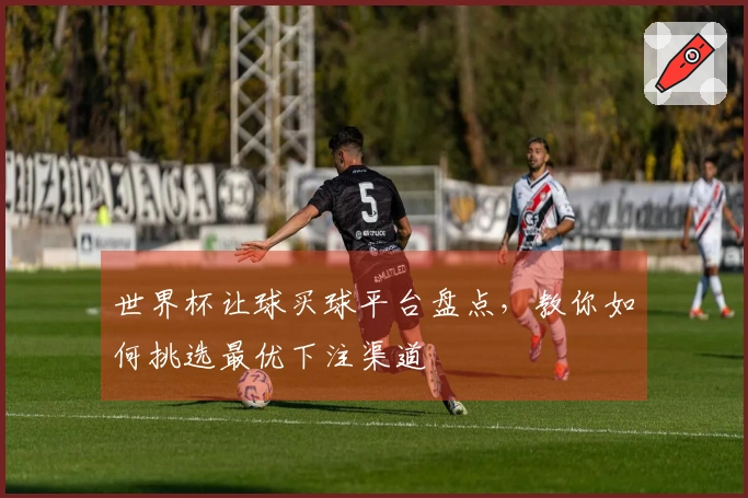 世界杯让球买球平台盘点,教你如何挑选最优下注渠道