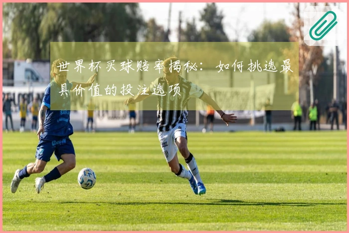 世界杯买球赔率揭秘：如何挑选最具价值的投注选项