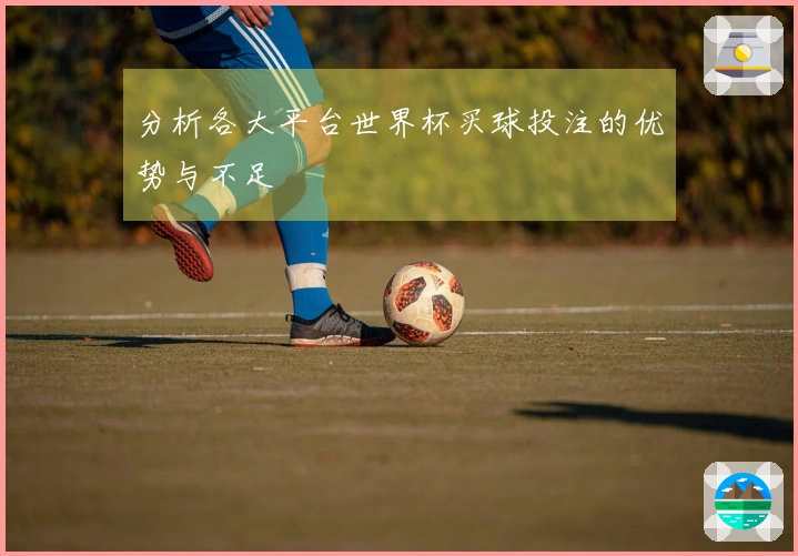 分析各大平台世界杯买球投注的优势与不足