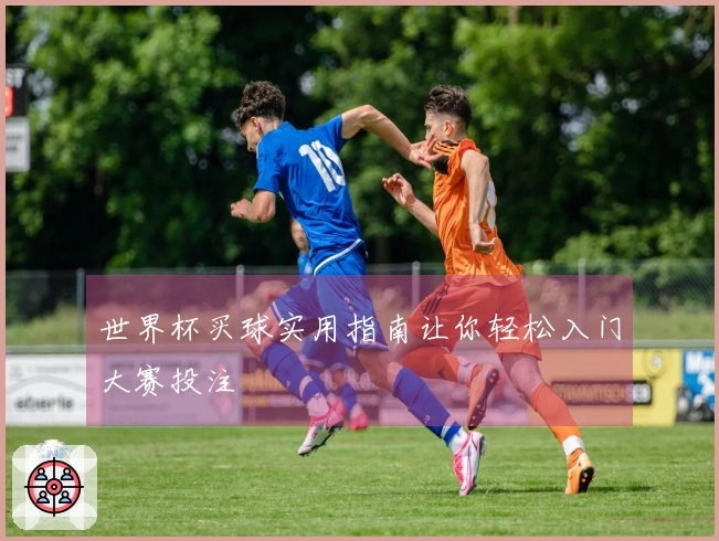 世界杯买球实用指南让你轻松入门大赛投注
