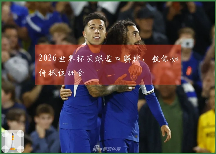 2026世界杯买球盘口解析,教你如何抓住机会